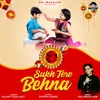 About Sukh Tere Behna Song